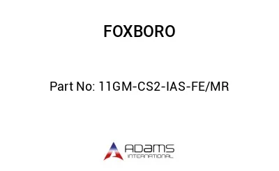 11GM-CS2-IAS-FE/MR