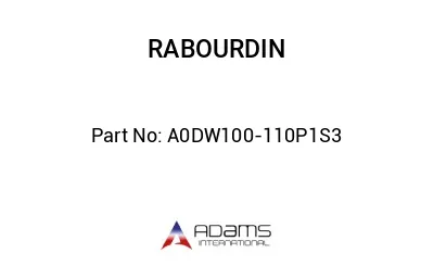 A0DW100-110P1S3